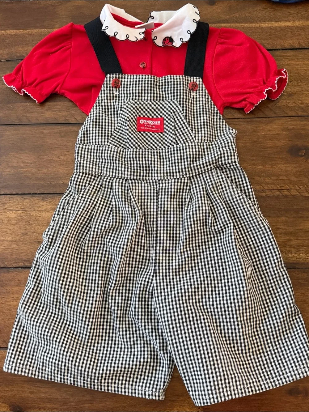 Rare Vintage OshKosh B'gosh Red Top with Ladybug Black & White Gingham Overalls